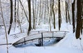 Bridge over the creek, winter forest Royalty Free Stock Photo