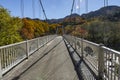 Bridge over Daiya River in Nikko Royalty Free Stock Photo