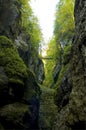 Bridge over a deep ravine