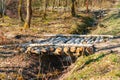 Bridge over a ditch in the forest, bridge of birch logs