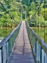 Bridge over Dyje river