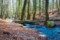 Bridge Over Forest Brook Trout Royalty Free Stock Photo