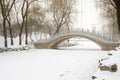 Bridge over frozen river