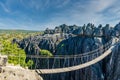 Bridge over a gap at the Tsingy de Bemaraha National Park, Madagascar