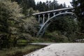 Oregon Coast Secluded Beach Bridge Photograph
