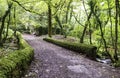 Bridge over Kennall river in Kennall Vale Nature Reserve, Ponsanooth, Cornwall, UK