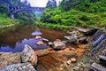 Bridge over a Lake Royalty Free Stock Photo