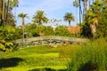 A bridge over a lake filled with lush green plants surrounded by palm trees