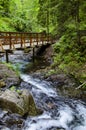 Bridge over a mountain river Royalty Free Stock Photo