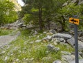 Bridge over the mountain river in the forest in the mountains Dirfys on the island of Evia, Greece