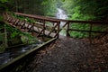 Bridge Over Myosotis Falls Stream Royalty Free Stock Photo