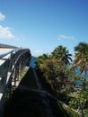 a bridge over the ocean with palms