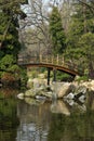 Bridge over the pond Royalty Free Stock Photo