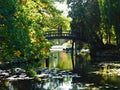 Bridge over the pond with ducks swimming among the trees in the Japanese Garden in autumn, WrocÃâaw, Poland Royalty Free Stock Photo