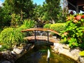 The bridge over the pond with fountain and small waterfall. The Royalty Free Stock Photo