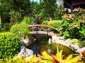 The bridge over the pond with fountain and small waterfall. The Royalty Free Stock Photo