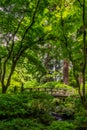 Bridge Over Pond at the Portland Japanese Garden Royalty Free Stock Photo