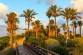 The bridge over a ravine. Evening twilight Royalty Free Stock Photo