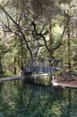 Bridge over Reflecting Pond