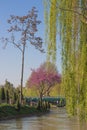 Bridge over the river in the centre of the Tashkent, Uzbekistan.