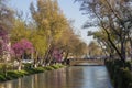 Bridge over the river in the centre of the Tashkent, Uzbekistan.