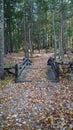 Bridge over river crossing trough the forest during the beginning of the autumn fall season in Massachusetts, New England Royalty Free Stock Photo