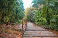 Bridge over river on rain forest trail Royalty Free Stock Photo