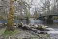 Bridge over River Rothay at White Moss Walks in Ambleside, Lake District National Park in South Lakeland, England, UK Royalty Free Stock Photo
