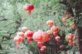 Bridge over the riverAsian Chinese red lantern light China Asia Royalty Free Stock Photo