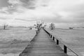 Bridge over the sea during ebb tide in black and white Royalty Free Stock Photo