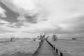 Bridge over the sea during ebb tide in black and white Royalty Free Stock Photo