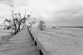 Bridge over the sea during ebb tide in black and white Royalty Free Stock Photo