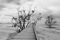 Bridge over the sea during ebb tide in black and white Royalty Free Stock Photo