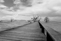 Bridge over the sea during ebb tide in black and white Royalty Free Stock Photo