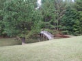 Bridge over small lake