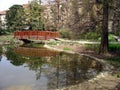 Bridge over small lake Royalty Free Stock Photo