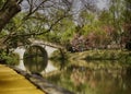 Bridge over still waters in a Chinese garden Royalty Free Stock Photo