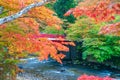 Bridge over stream in autumn, Japan