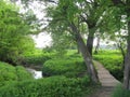 Bridge over a stream