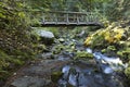 Bridge over stream at Fern Falls Royalty Free Stock Photo