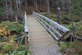 A bridge over a stream in the forest along a walking path in November in Nova Scotia