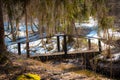 A bridge over a stream in a forest in a spring forest Royalty Free Stock Photo