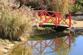 Bridge over a Stream with Pampas Grass