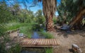 A bridge over the stream at Shoshone spring