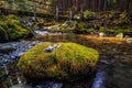 Bridge over the Stream, Sol Duc Wilderness at Olympic National Park Royalty Free Stock Photo