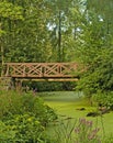 Bridge over swamp