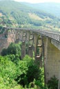 Bridge over Tara river