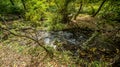 Bridge over troubled waters in the forest. White water rapids flow under the bridge Royalty Free Stock Photo