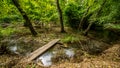 Bridge over troubled waters in the forest. White water rapids flow under the bridge