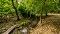 Bridge over troubled waters in the forest. White water rapids flow under the bridge Royalty Free Stock Photo